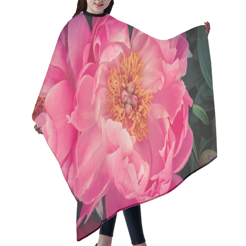 Personality  Pink Peony Petals Floral Flower Closeup Hair Cutting Cape