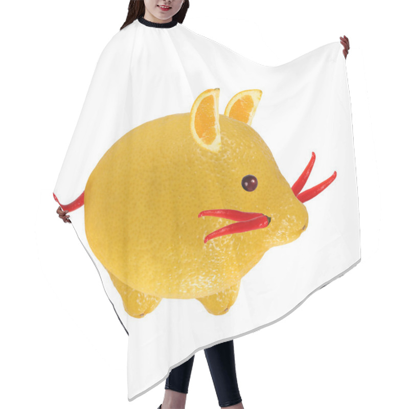 Personality  Little Creature Made Of Lemon And Peper Hair Cutting Cape