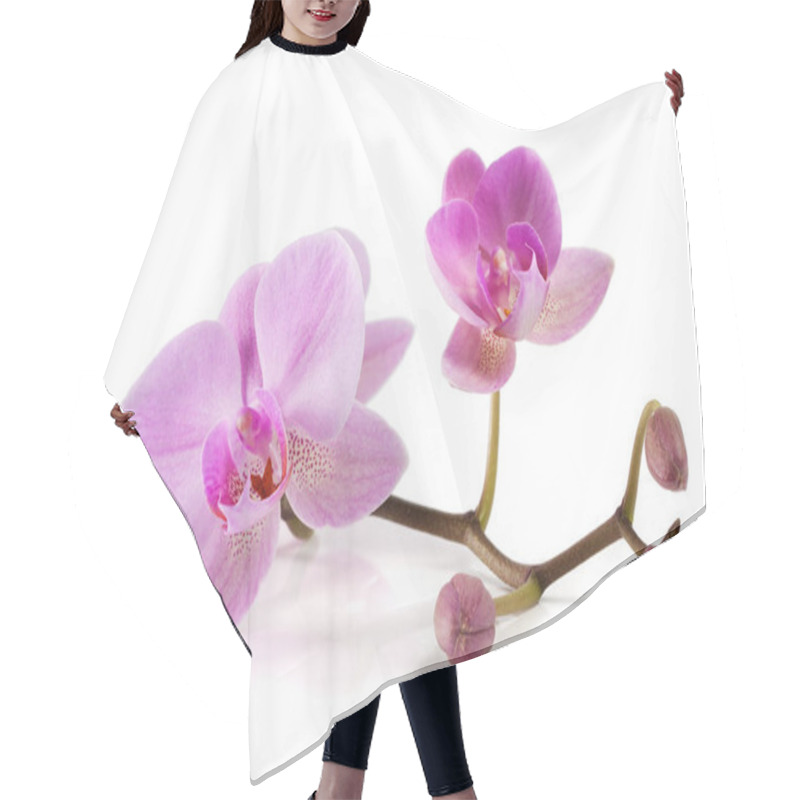 Personality  Orchid Flowers. Spa. Beautiful Floral Background Hair Cutting Cape