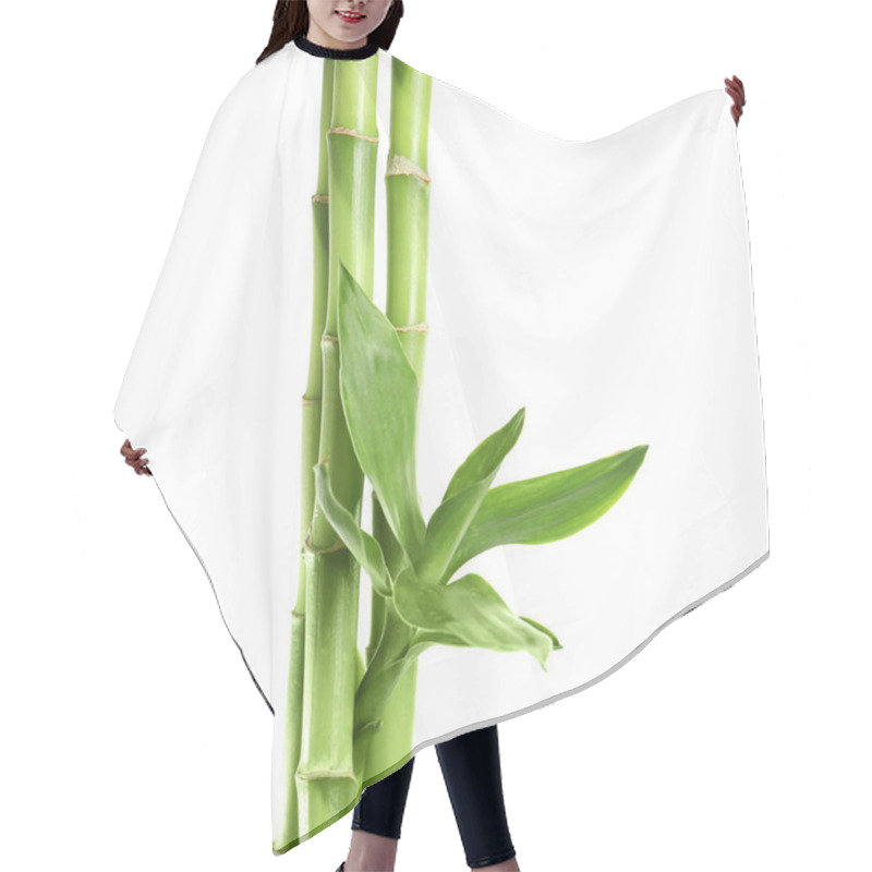 Personality  Green Bamboo Stems With Leaves On White Background Hair Cutting Cape