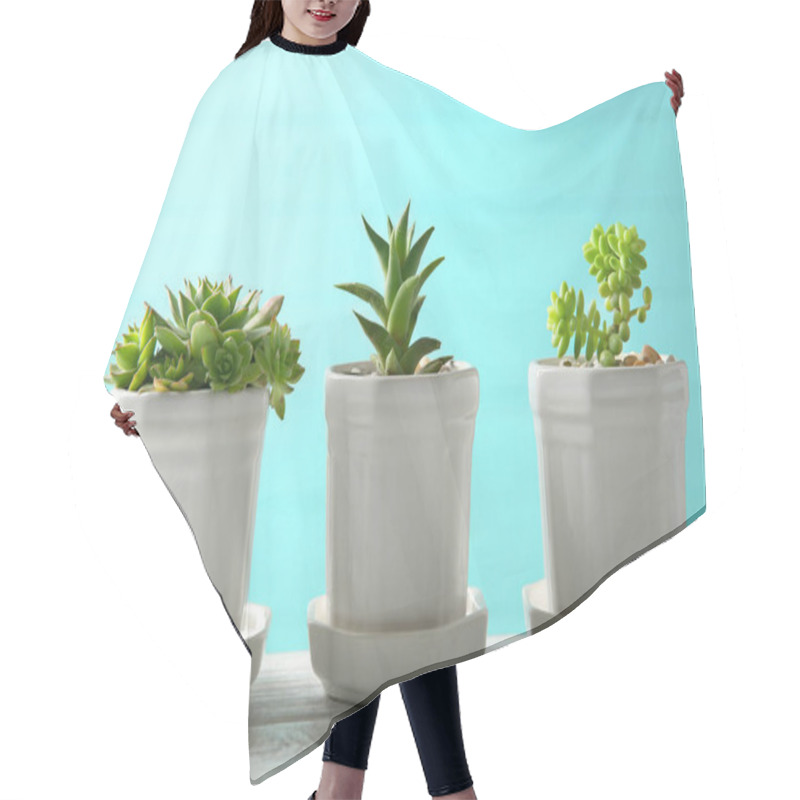 Personality  Pots With Succulents On Table  Hair Cutting Cape