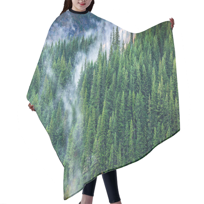 Personality  Aerial Of Pine Forest With Flowing Fog. Hair Cutting Cape