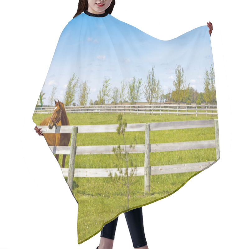 Personality  American Country Hair Cutting Cape