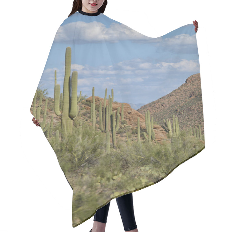 Personality  Grand Canyon Image Hair Cutting Cape