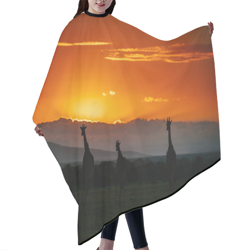 Personality  Silhouettes Of Giraffes On Sunset Hair Cutting Cape