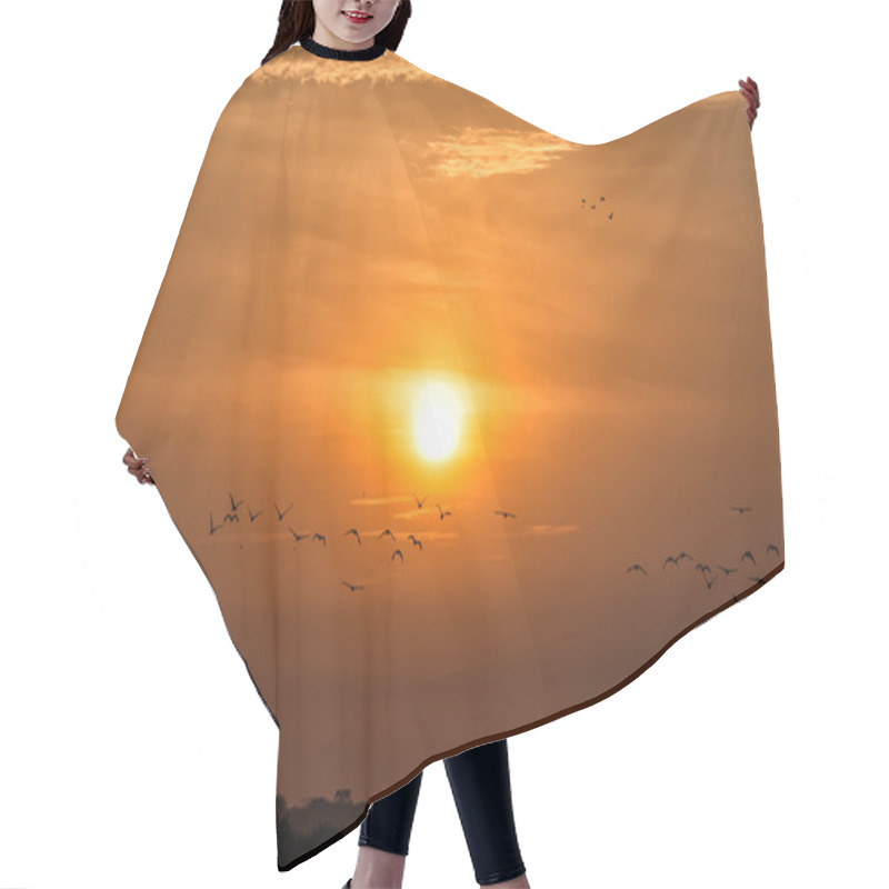 Personality  Birds And Sunset Hair Cutting Cape