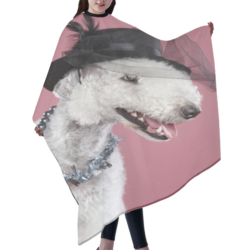 Personality  Fashionable Dog In Lady Hat Hair Cutting Cape