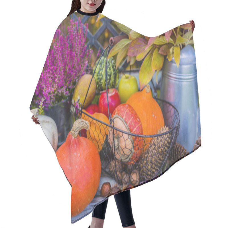 Personality  Pumpkins And Autumn Harvest In The Garden. Hair Cutting Cape