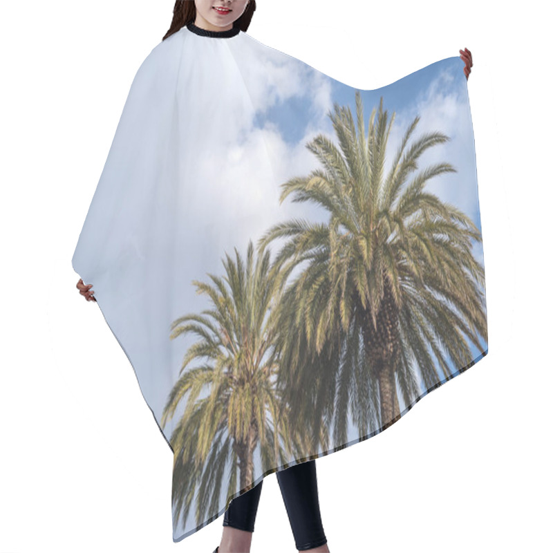 Personality  Palm Trees Hair Cutting Cape