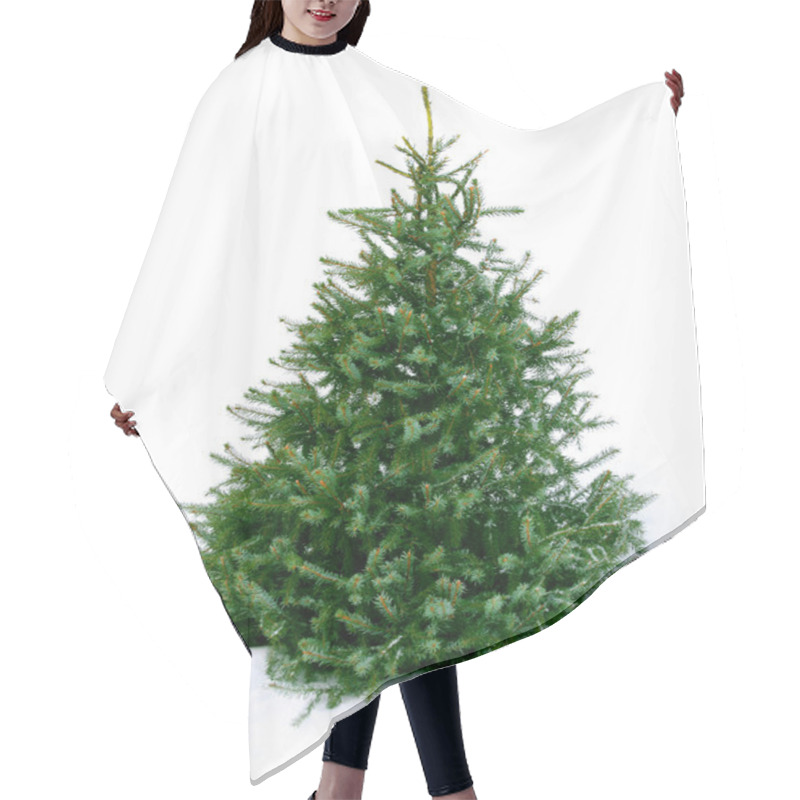 Personality  Young Green Fir Tree On Snow Hair Cutting Cape