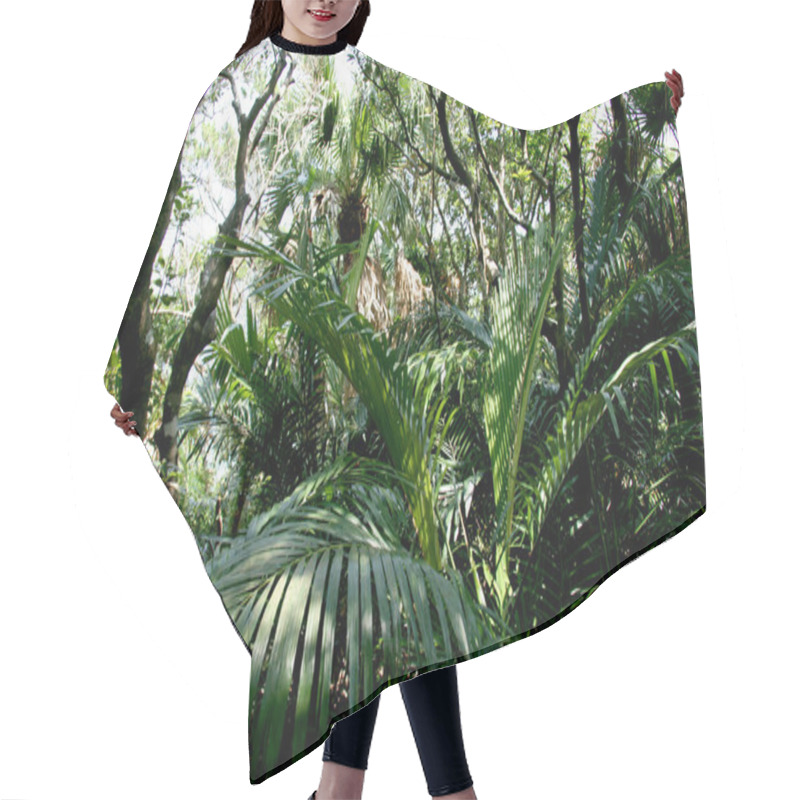 Personality  Jungle Foliage - Tokashiki Island, Okinawa, Japan Hair Cutting Cape