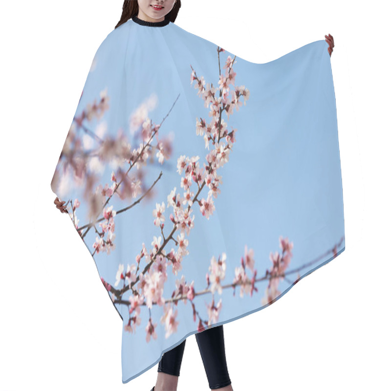 Personality  Peach Blossom In Tibet Hair Cutting Cape