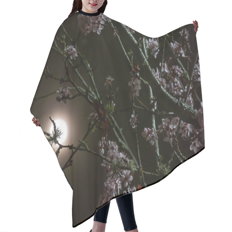 Personality  Dark Tree Branches With Pink Flowers In Front Of The Moon Hair Cutting Cape