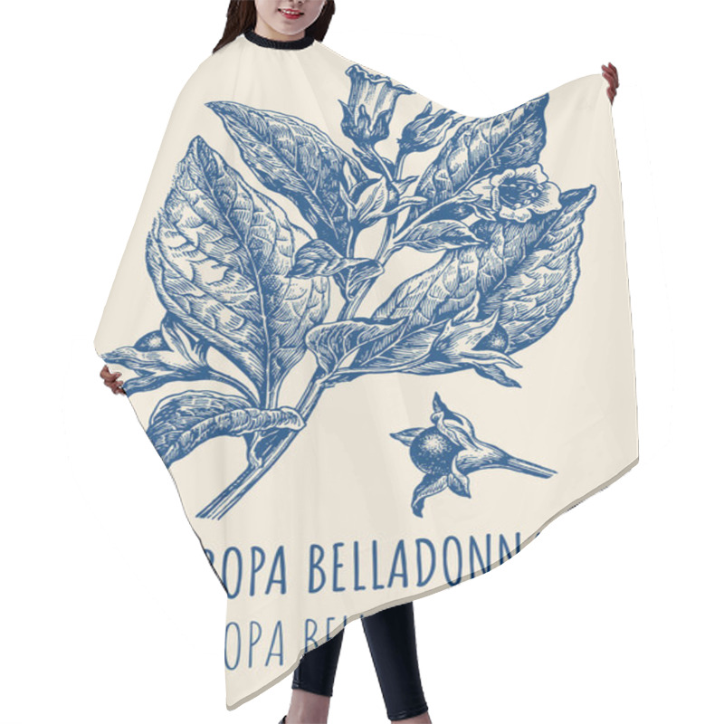 Personality  Drawings Of BELLADONNA. Hand Drawn Illustration. Latin Name ATROPA BELLADONNA L Hair Cutting Cape