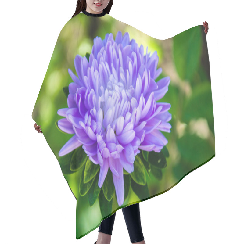 Personality  Light Blue Aster Hair Cutting Cape