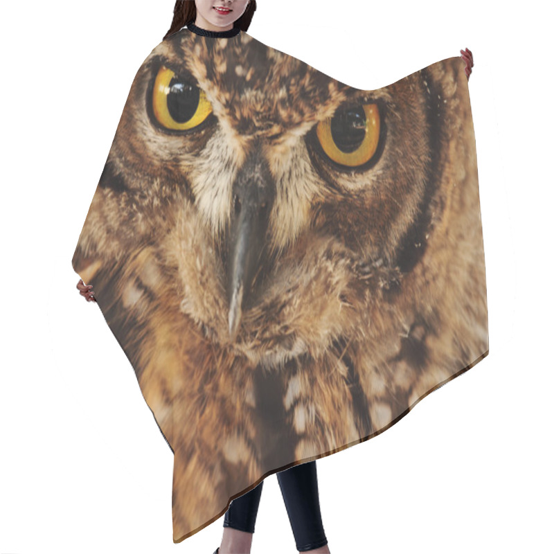 Personality  Owl Portrait Hair Cutting Cape