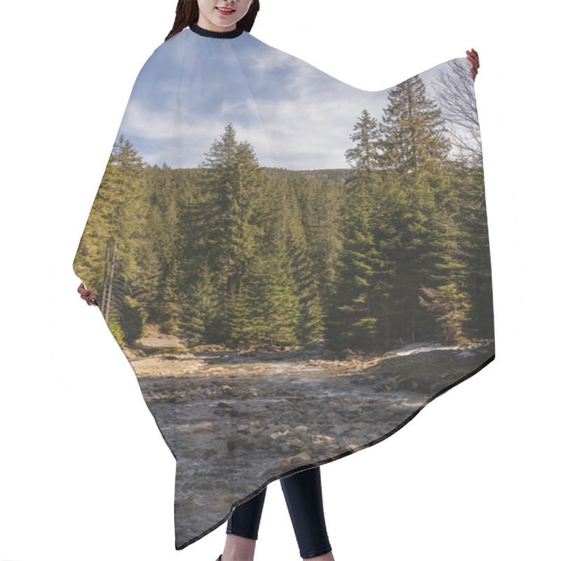 Personality  Pine Forest With Sunlight Near Mountain River And Blue Sky At Background  Hair Cutting Cape