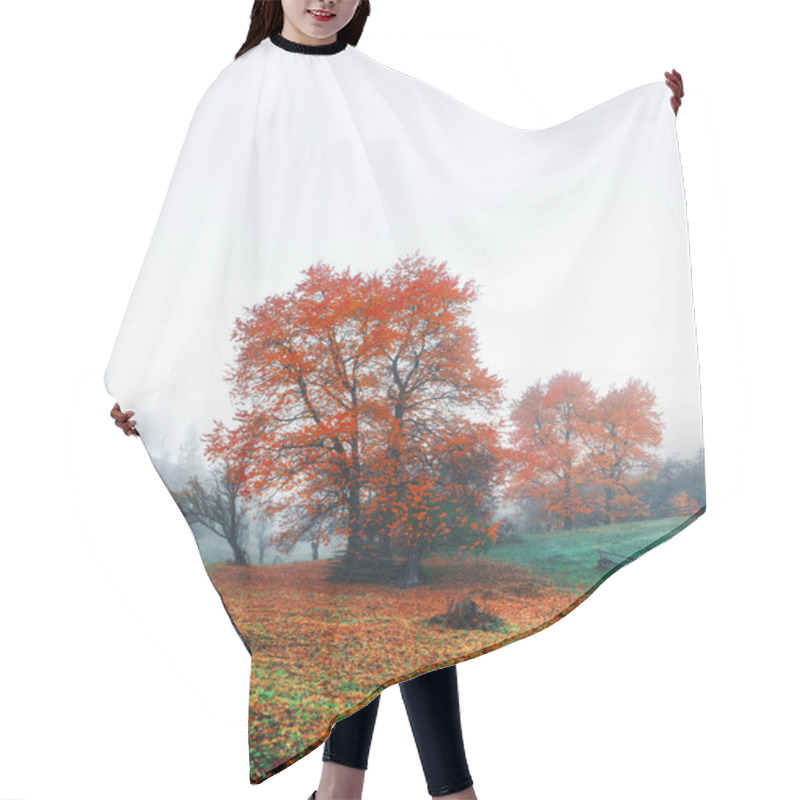 Personality  Amazing Rural Scene On Autumn Valley Hair Cutting Cape