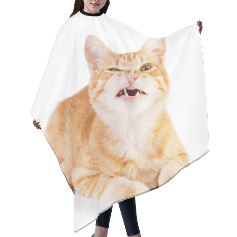 Personality  Angry Cat Hair Cutting Cape