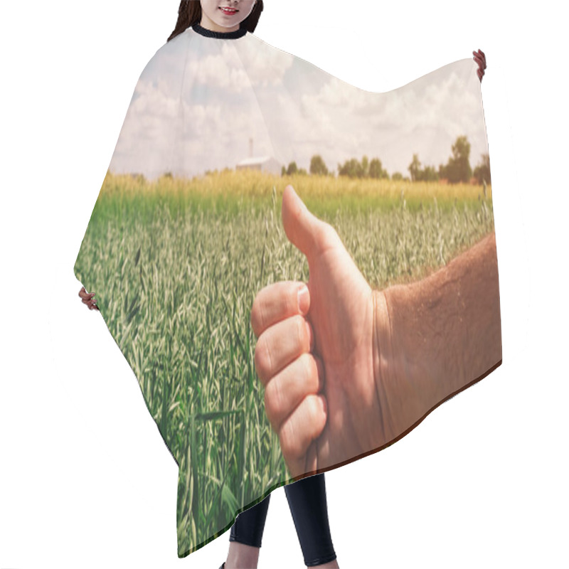 Personality  Satisfied Farmer Agronomist Gesturing Thumbs Up After Analyzing Oats Growth In Field During The Control Examination Of Cereal Plant Development Hair Cutting Cape