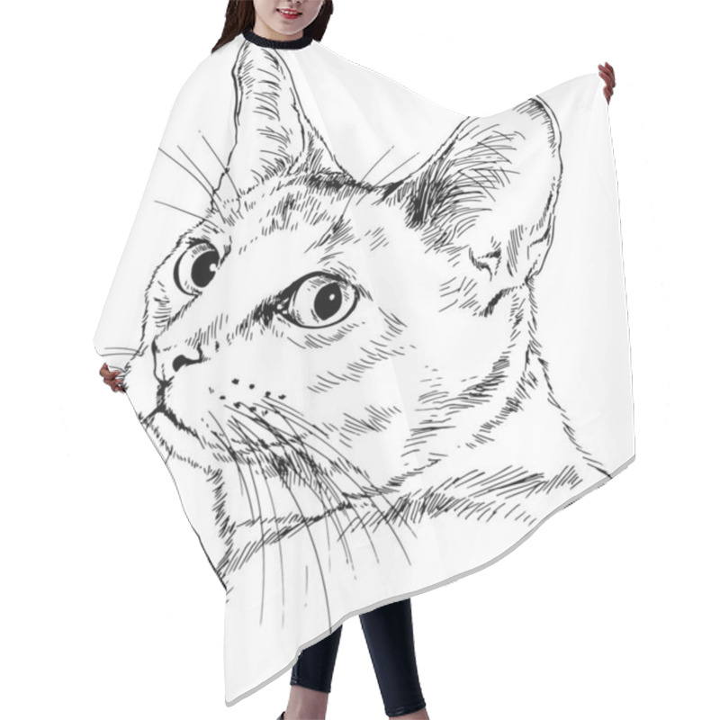 Personality  Pedigree Cat Drawn In Ink By Hand On A White Background Hair Cutting Cape