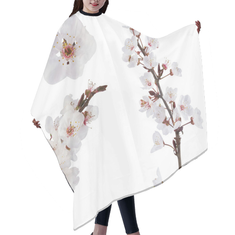 Personality  Plum-tree Flowers. Design Elements Isolated On White. Hair Cutting Cape