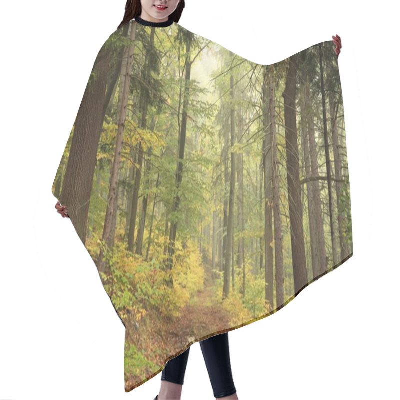 Personality  Forest Trail In Autumn Scenery Hair Cutting Cape