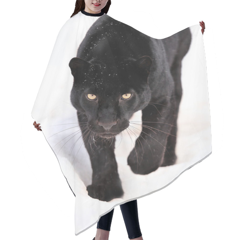 Personality  Leopard Portrait Hair Cutting Cape