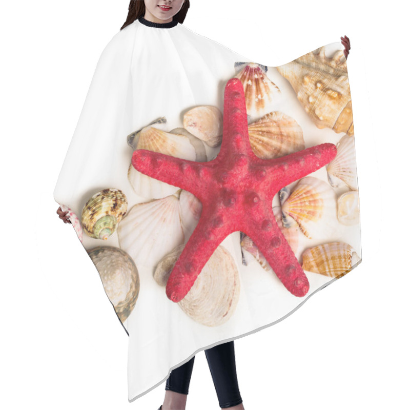 Personality  A Red Starfish And Various Seashells Lying On Sand Hair Cutting Cape