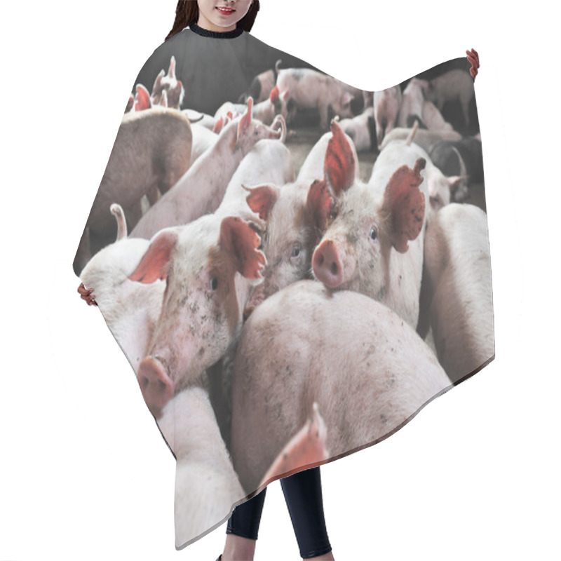 Personality  Little Piglets On A Farm Hair Cutting Cape