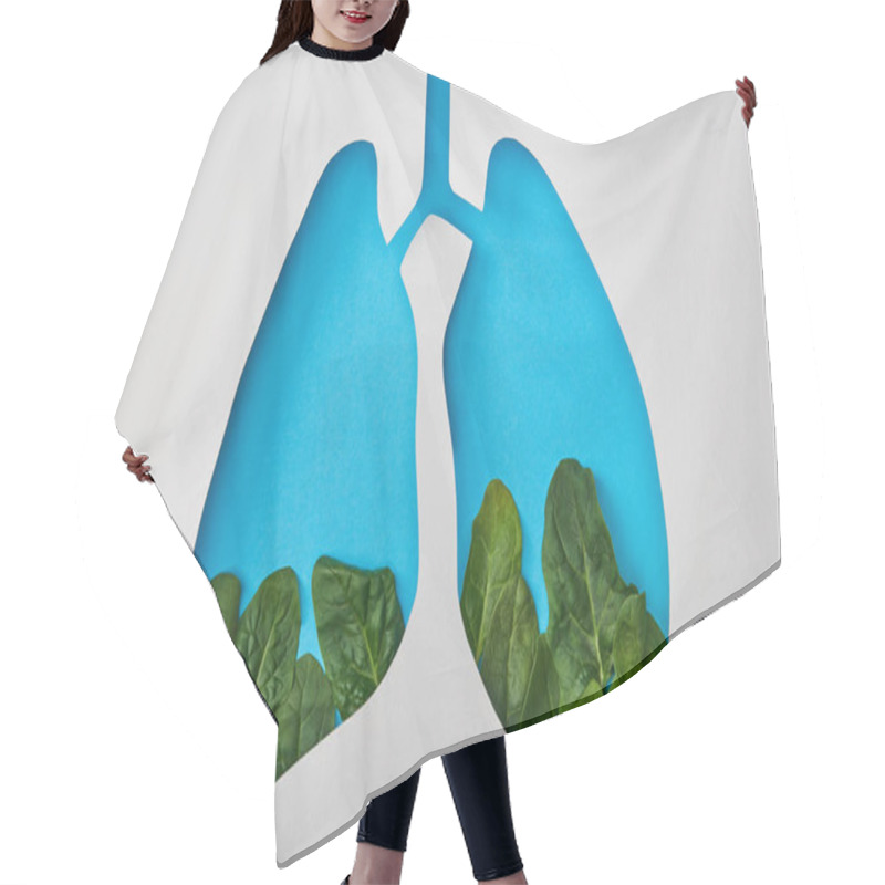 Personality  Top View Of Lungs Model With Leaves Isolated On White Hair Cutting Cape