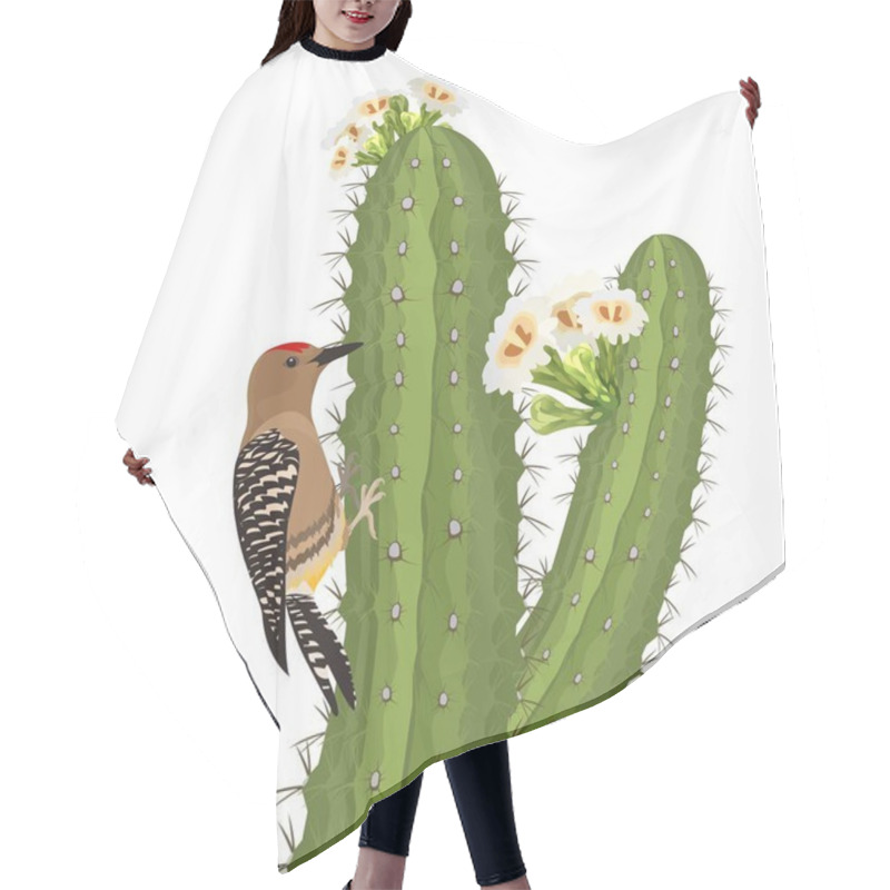 Personality  Gila Woodpecker Bird On Saguaro Cactus In Desert Wildlife. Vector Hair Cutting Cape