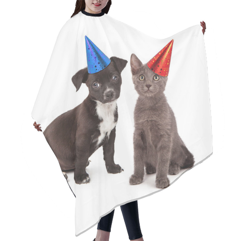 Personality  Puppy And Kitten Wearing Party Hat Hair Cutting Cape