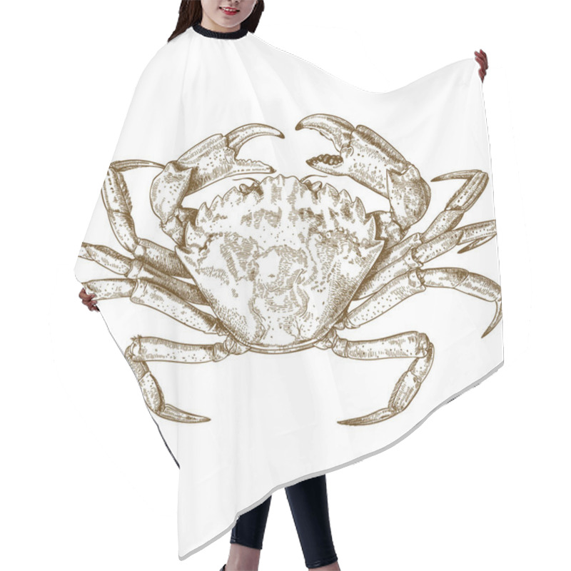 Personality  Engraving Illustration Of Crab Hair Cutting Cape