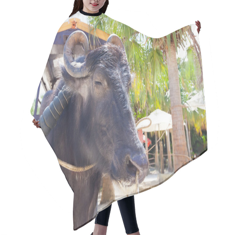 Personality  water buffalo in japan hair cutting cape