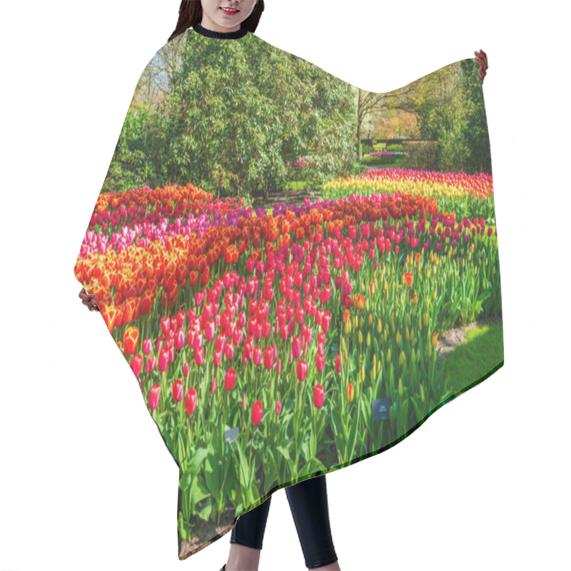 Personality  Beautiful Keukenhof Garden With Blooming Tulips, Holland Hair Cutting Cape