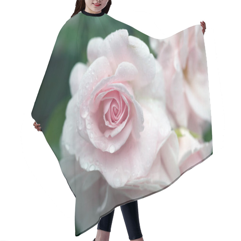 Personality  Raindrops Over The Rose Macro Photography Hair Cutting Cape