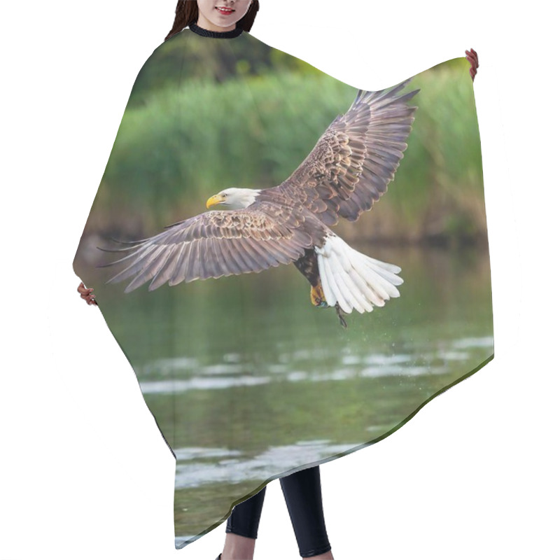 Personality  An Eagle Diving Towards A River To Catch A Fish Hair Cutting Cape