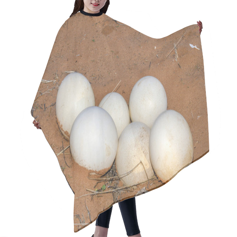 Personality  Clutch Of The Ostrich Eggs Hair Cutting Cape