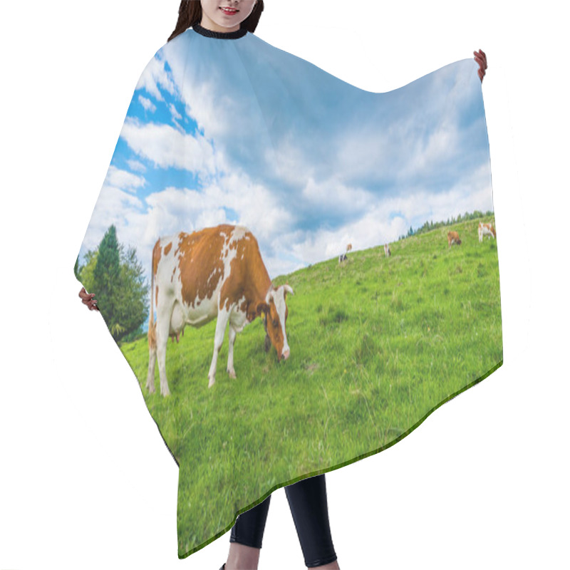 Personality  Cows On A Mountain Meadow, Pieniny, Poland Hair Cutting Cape