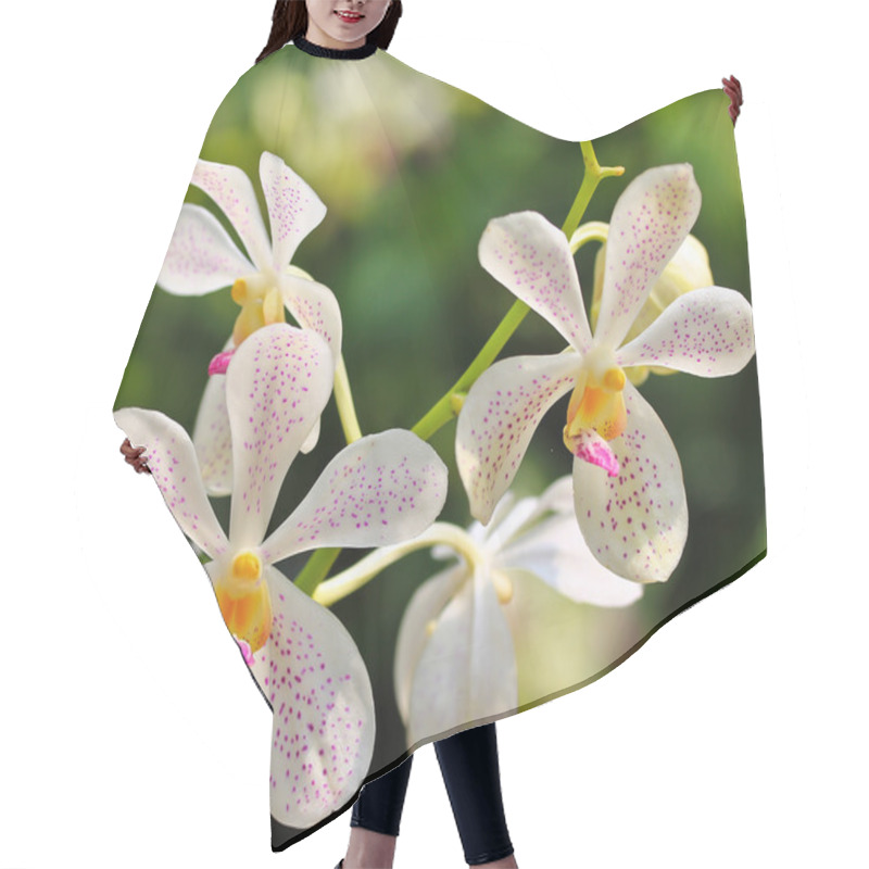 Personality  Beautiful Orchids Flowers Hair Cutting Cape