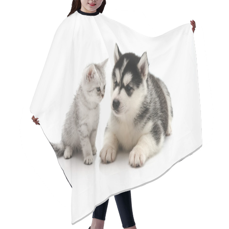 Personality  Cute Kitten And Puppy On White Background  Hair Cutting Cape