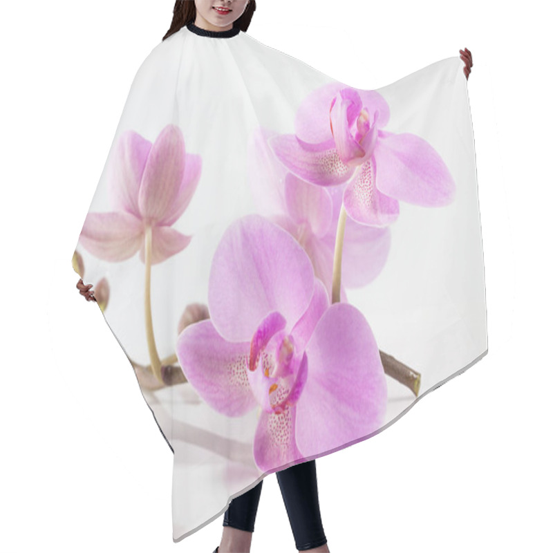 Personality  Orchid Flowers. Spa. Beautiful Floral Background Hair Cutting Cape