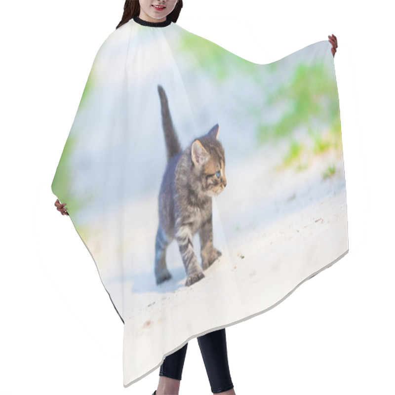 Personality  Little Kitten Staying On The Sandy Road Hair Cutting Cape