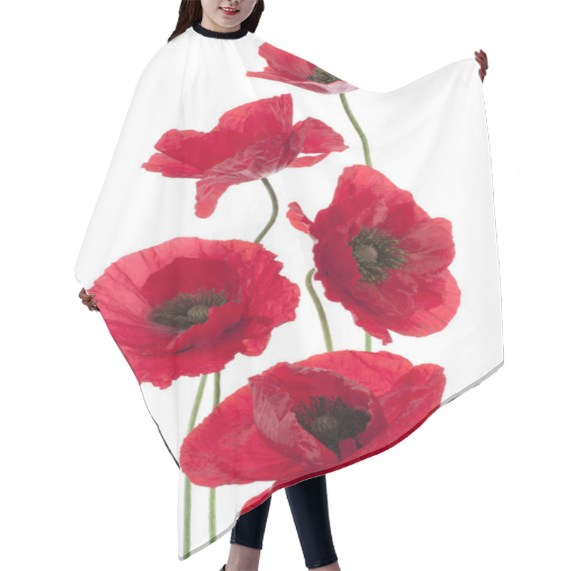 Personality  Poppy Hair Cutting Cape