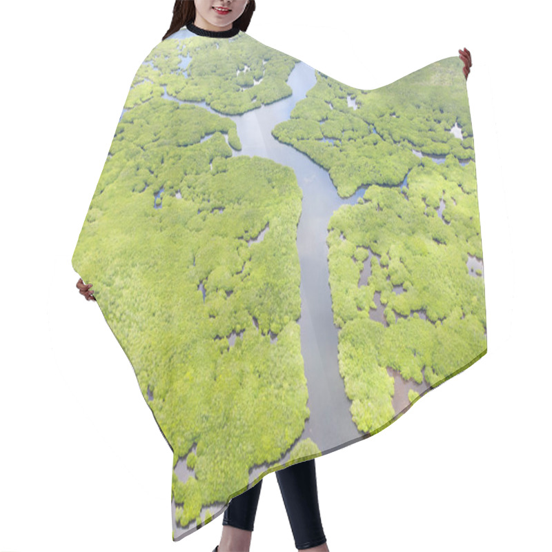 Personality  Mangroves, Top View. Mangrove Forest And Winding Rivers. Tropical Background Hair Cutting Cape