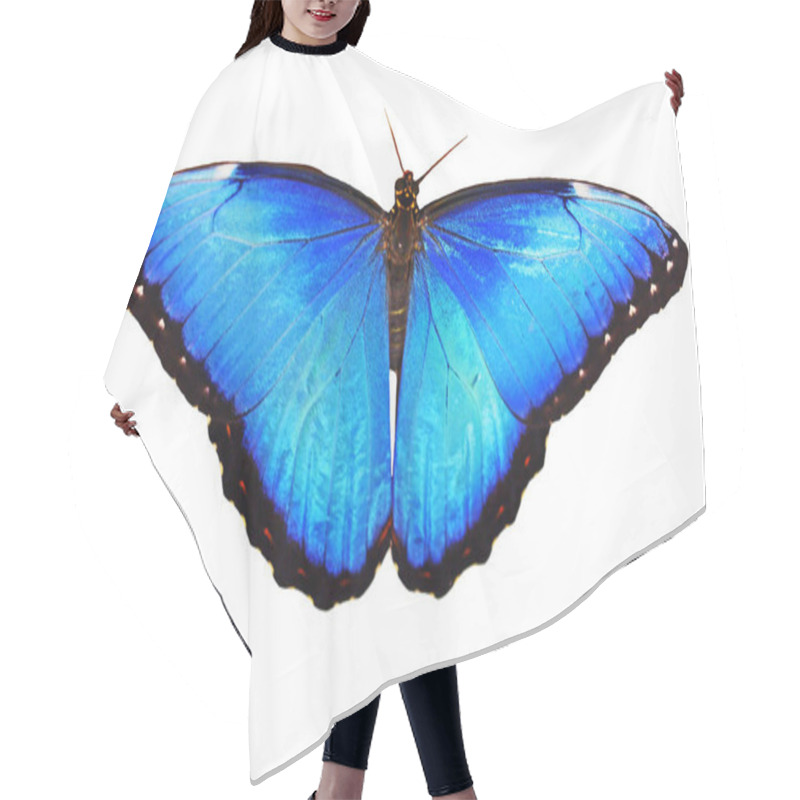 Personality  Bright Male Of The Blue Morpho Butterfly Isolated On White With Wings Spread Hair Cutting Cape