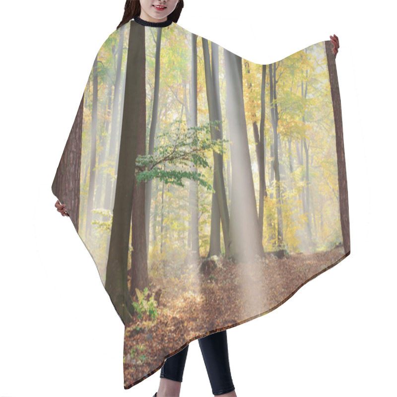 Personality  Forest Hair Cutting Cape