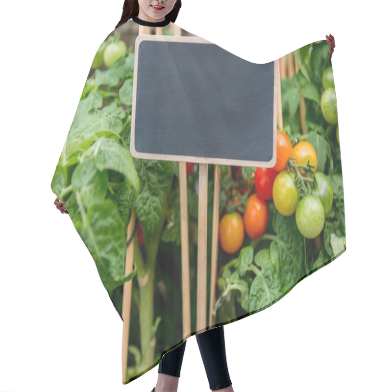 Personality  Blackboard Hair Cutting Cape