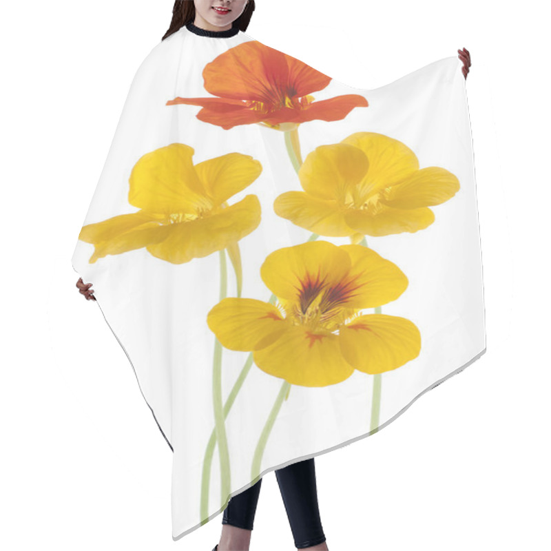 Personality  Nasturtium Hair Cutting Cape